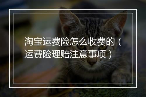 淘宝运费险怎么收费的(运费险理赔注意事项)