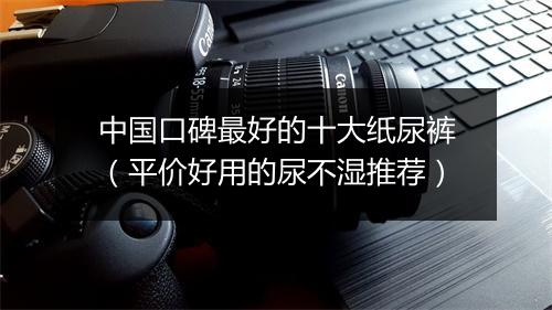 中国口碑最好的十大纸尿裤(平价好用的尿不湿推荐)