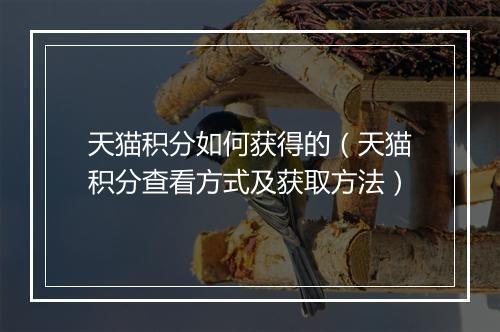 天猫积分如何获得的(天猫积分查看方式及获取方法)