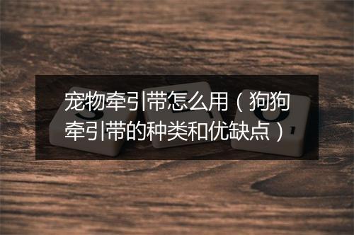 宠物牵引带怎么用(狗狗牵引带的种类和优缺点)