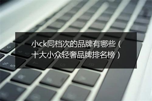 小ck同档次的品牌有哪些(十大小众轻奢品牌排名榜)