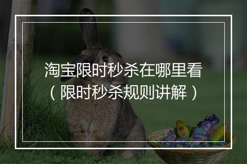 淘宝限时秒杀在哪里看(限时秒杀规则讲解)