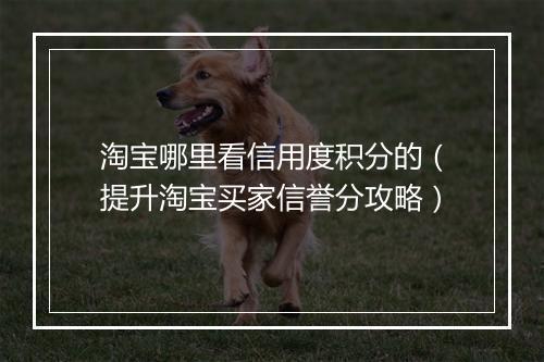 淘宝哪里看信用度积分的(提升淘宝买家信誉分攻略)
