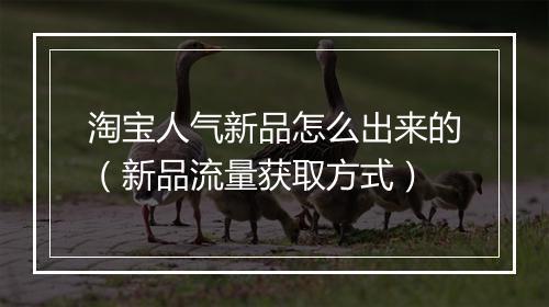 淘宝人气新品怎么出来的(新品流量获取方式)