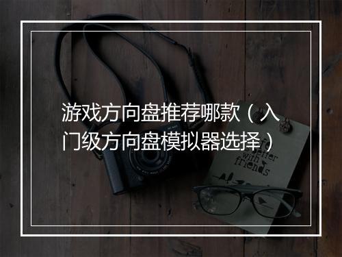游戏方向盘推荐哪款(入门级方向盘模拟器选择)