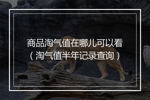 商品淘气值在哪儿可以看(淘气值半年记录查询)