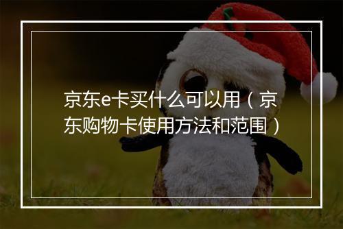 京东e卡买什么可以用(京东购物卡使用方法和范围)