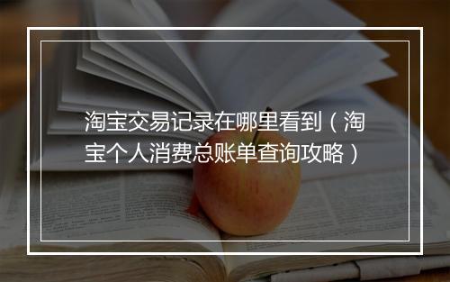 淘宝交易记录在哪里看到(淘宝个人消费总账单查询攻略)