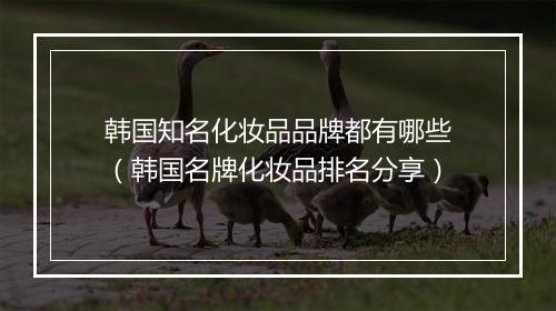 韩国知名化妆品品牌都有哪些(韩国名牌化妆品排名分享)