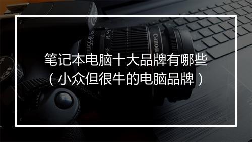 笔记本电脑十大品牌有哪些(小众但很牛的电脑品牌)