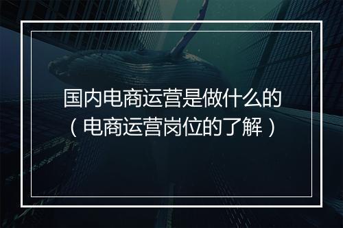 国内电商运营是做什么的(电商运营岗位的了解)