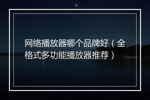 网络播放器哪个品牌好(全格式多功能播放器推荐)