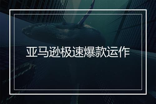 亚马逊极速爆款运作