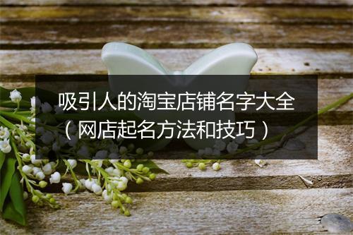 吸引人的淘宝店铺名字大全(网店起名方法和技巧)