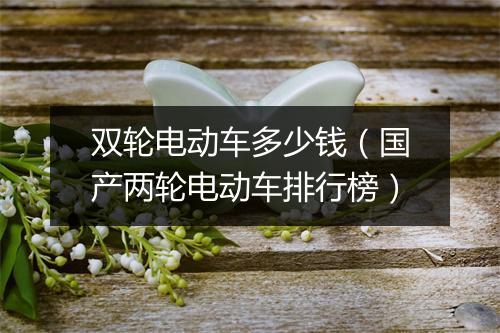 双轮电动车多少钱(国产两轮电动车排行榜)