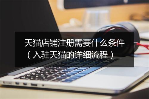 天猫店铺注册需要什么条件(入驻天猫的详细流程)