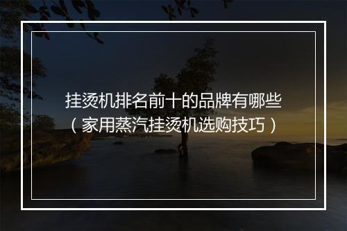 挂烫机排名前十的品牌有哪些(家用蒸汽挂烫机选购技巧)