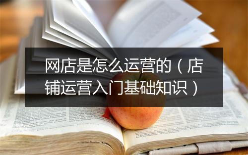 网店是怎么运营的(店铺运营入门基础知识)
