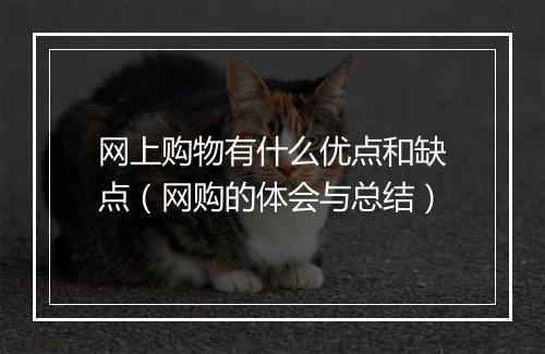 网上购物有什么优点和缺点(网购的体会与总结)