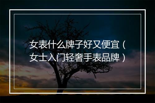 女表什么牌子好又便宜(女士入门轻奢手表品牌)