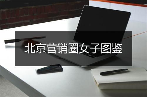 北京营销圈女子图鉴