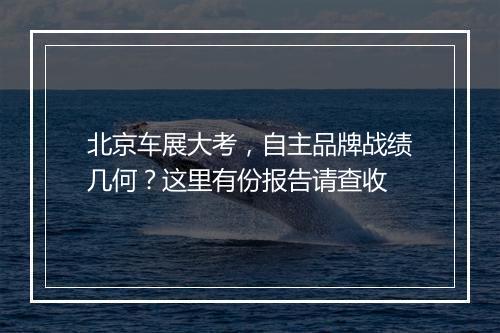 北京车展大考,自主品牌战绩几何?这里有份报告请查收