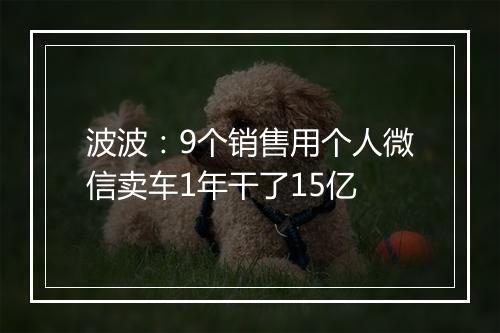 波波:9个销售用个人微信卖车1年干了15亿
