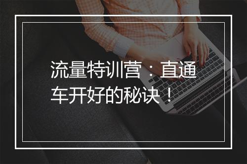 流量特训营:直通车开好的秘诀!