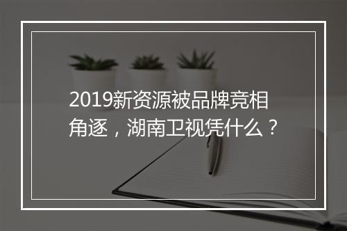 2019新资源被品牌竞相角逐,湖南卫视凭什么?