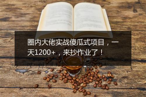 圈内大佬实战傻瓜式项目,一天1200+,来抄作业了!