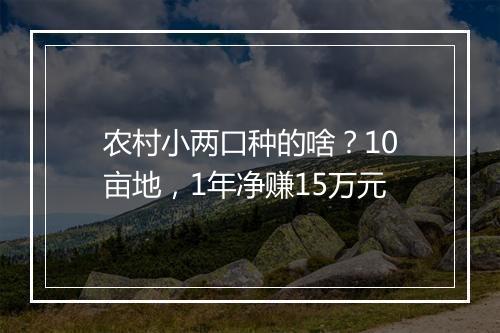 农村小两口种的啥?10亩地,1年净赚15万元