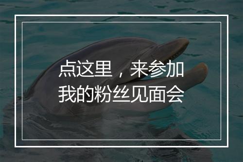 点这里,来参加我的粉丝见面会
