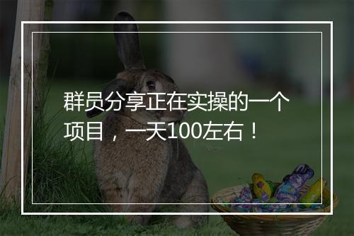 群员分享正在实操的一个项目,一天100左右!