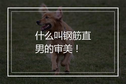 什么叫钢筋直男的审美!