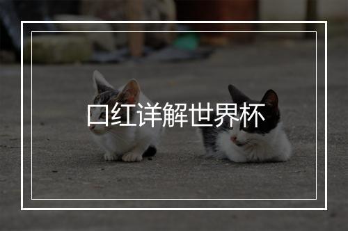口红详解世界杯
