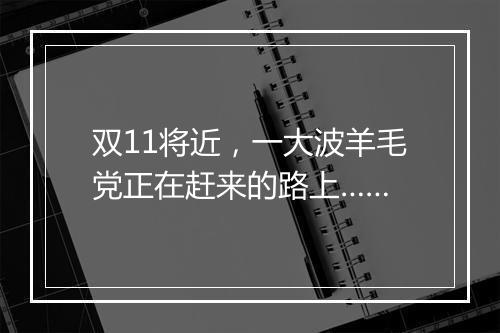 双11将近,一大波羊毛党正在赶来的路上……