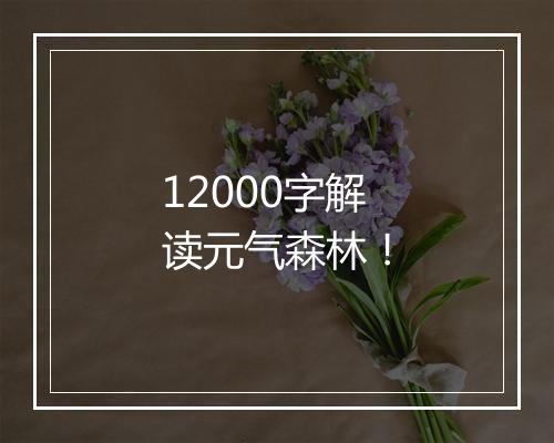 12000字解读元气森林!