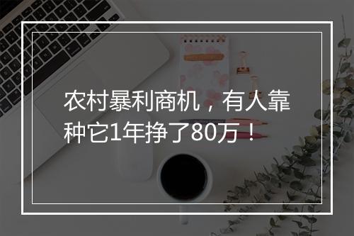 农村暴利商机,有人靠种它1年挣了80万!