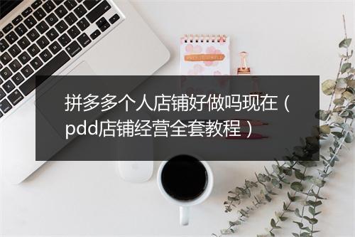 拼多多个人店铺好做吗现在(pdd店铺经营全套教程)