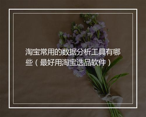 淘宝常用的数据分析工具有哪些(最好用淘宝选品软件)