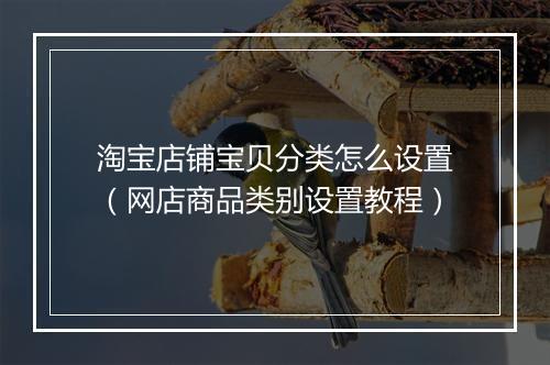 淘宝店铺宝贝分类怎么设置(网店商品类别设置教程)