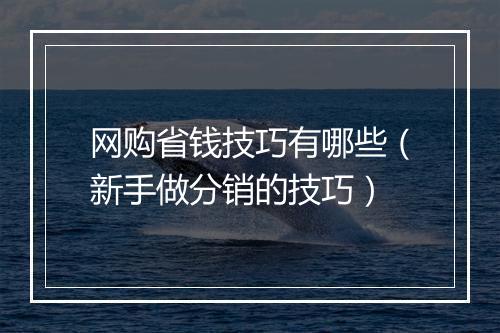 网购省钱技巧有哪些(新手做分销的技巧)