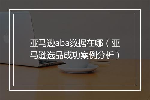 亚马逊aba数据在哪(亚马逊选品成功案例分析)