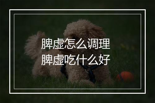 脾虚怎么调理 脾虚吃什么好