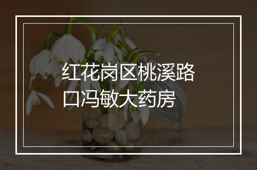 红花岗区桃溪路口冯敏大药房