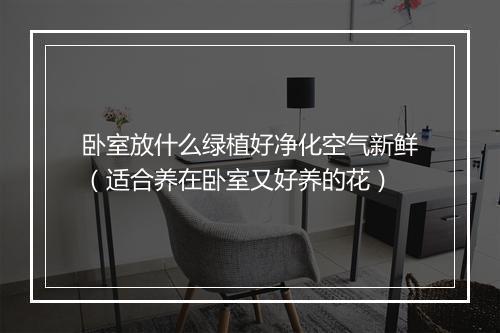 卧室放什么绿植好净化空气新鲜(适合养在卧室又好养的花)