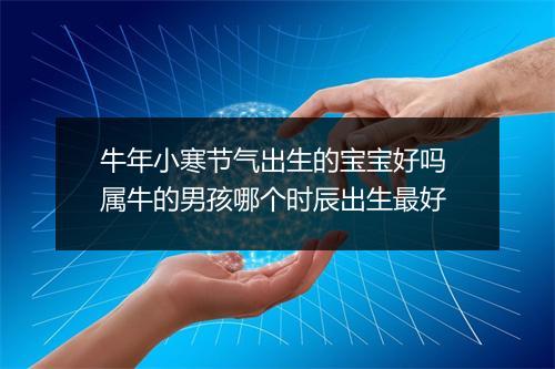 牛年小寒节气出生的宝宝好吗 属牛的男孩哪个时辰出生最好