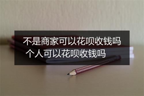 不是商家可以花呗收钱吗 个人可以花呗收钱吗
