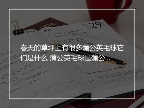 春天的草坪上有很多蒲公英毛球它们是什么 蒲公英毛球是蒲公英的什么