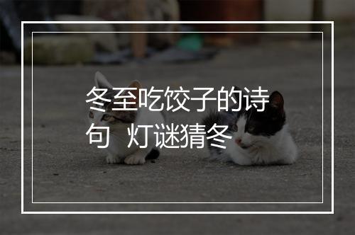 冬至吃饺子的诗句 灯谜猜冬